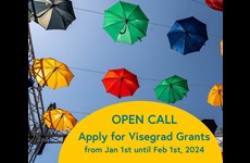 Submit your project to the February call for Visegrad Grants