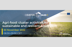 Invitation for EU Cluster Talks, 30th November 2022
