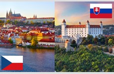 NCA is deepening cooperation with the Slovak cluster environment