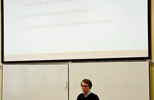 Obrázek 27