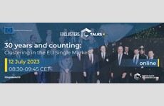 30 years and counting: Clustering in the EU Single Market